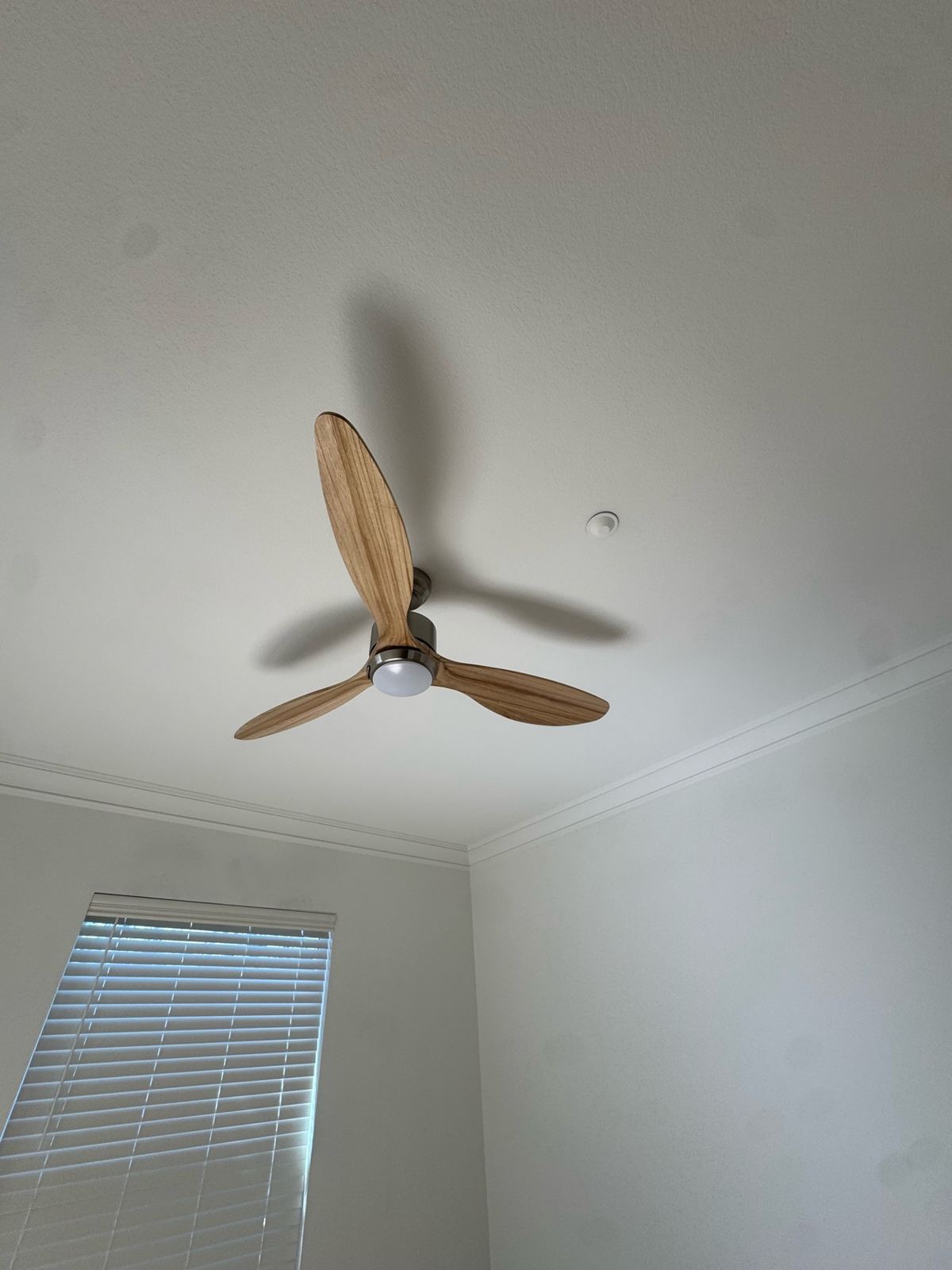 Freshly painted white ceiling and walls in a room with a wood-blade ceiling fan